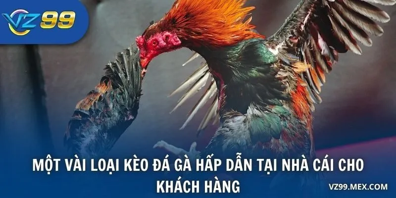 Một vài loại kèo đá gà hấp dẫn tại nhà cái cho khách hàng